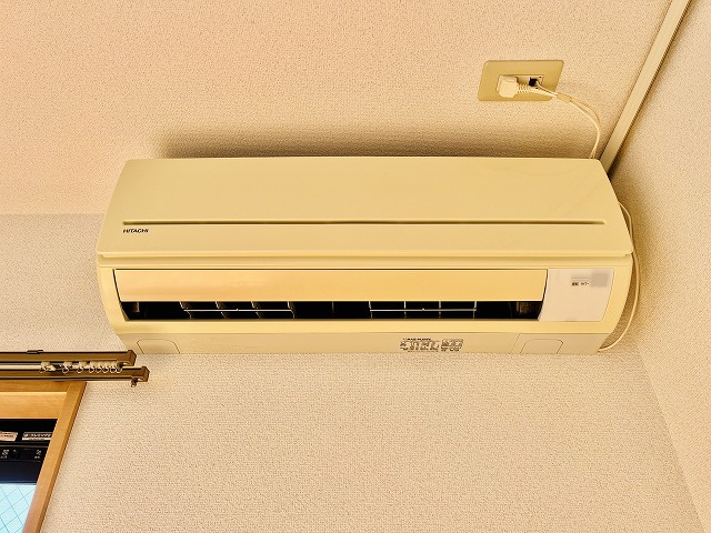 フレンテ・カルポートのその他