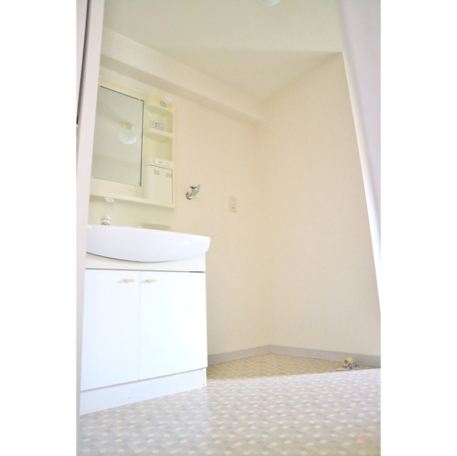 ラカーサ　アルタの洗面所|広い洗面所　収納あり