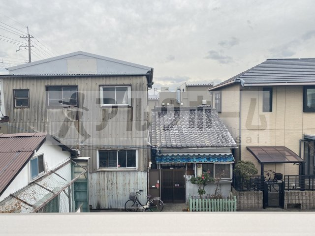 かきつばたⅡの展望