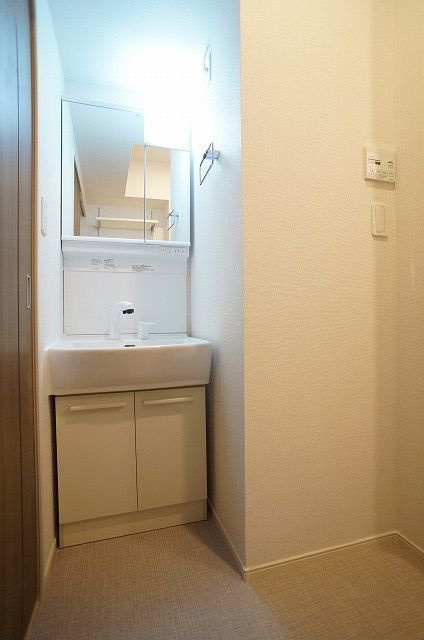 カンファーツリーハウスの独立洗面台