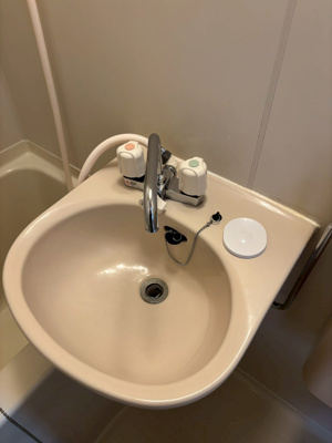 【洗面所】 | アーバンプレイス和泉B棟