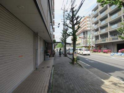 Fair　wind　OIKE（フェアウインドオイケ）の周辺|前面道路