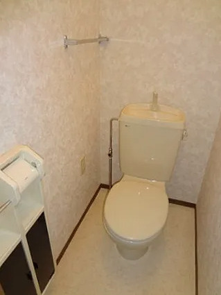 ハイデルベルク【キャッシュバック対象物件】のトイレ|清潔感のあるトイレです