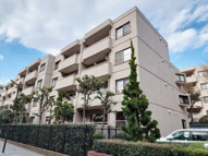 コートハウス玉川の画像