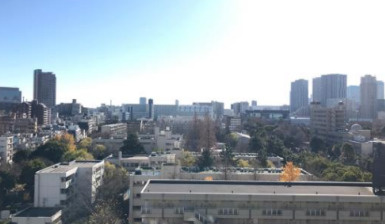 門前仲町スカイハイツの展望