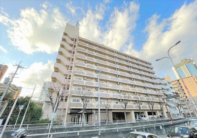 【外観】 | サウスフラット | 外観です