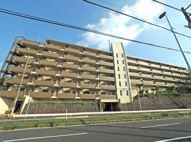 ニッコーハイツ三ッ池公園の画像