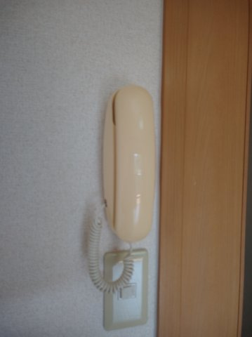 【その他】 | レイナ・ソレアード