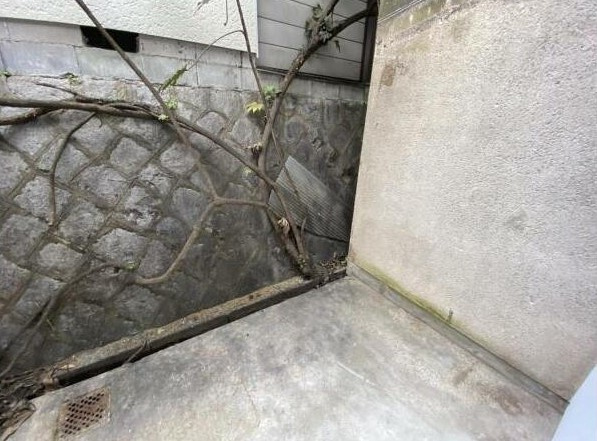 【庭】 | K30170-上賀茂