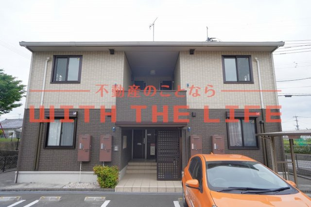 ブルーム【キャッシュバック対象】