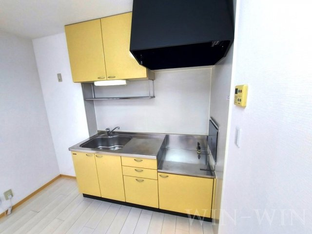 ヴィラージュルピナ C棟のキッチン