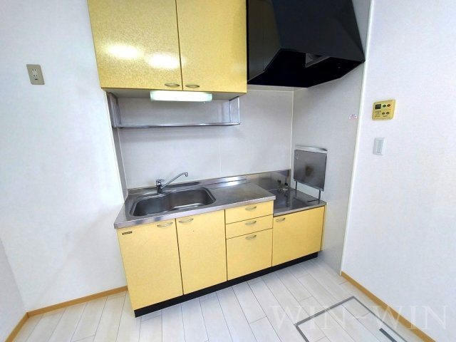 ヴィラージュルピナ C棟のキッチン