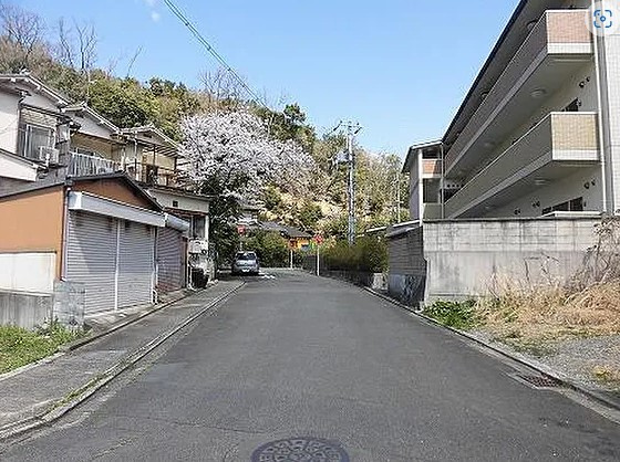 【周辺】 | K11401-金閣