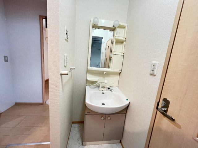 ドルフクレセント 参番館の独立洗面台