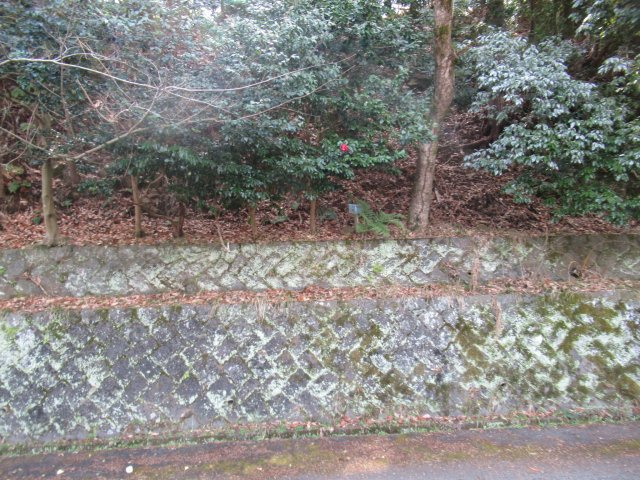 エンゼルフォレスト熱海自然郷②