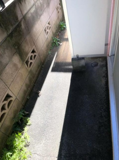 【庭】 | 鷺宮３丁目アパート | 嬉しい庭付きです