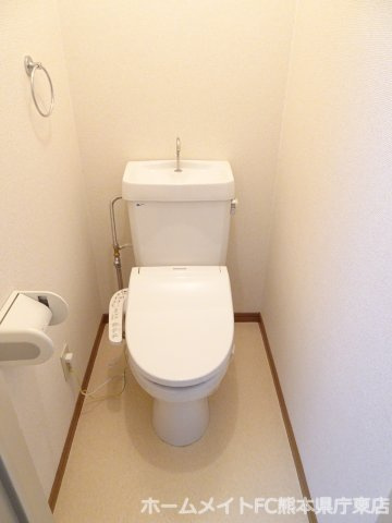 熊本市中央区大江６丁目の賃貸マンションのトイレ