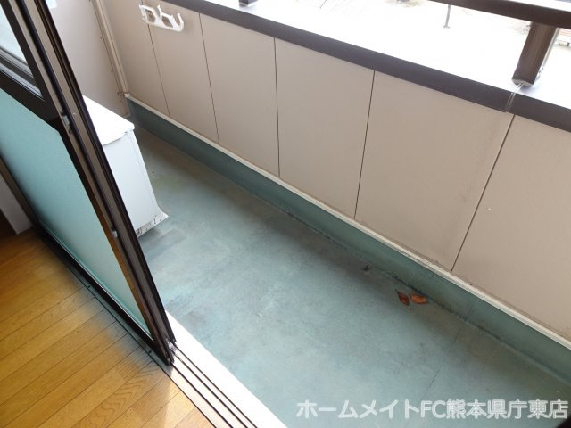 熊本市中央区大江６丁目の賃貸マンションのバルコニー