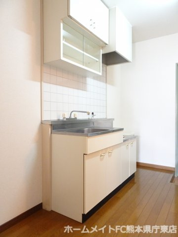 熊本市中央区大江６丁目の賃貸マンションのキッチン