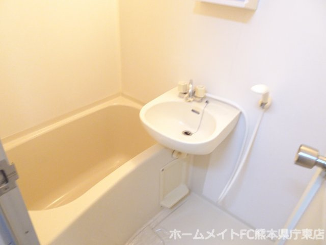 熊本市中央区大江６丁目の賃貸マンションの浴室