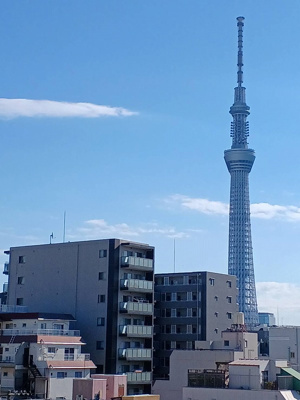 【展望】 | レジェンド浅草