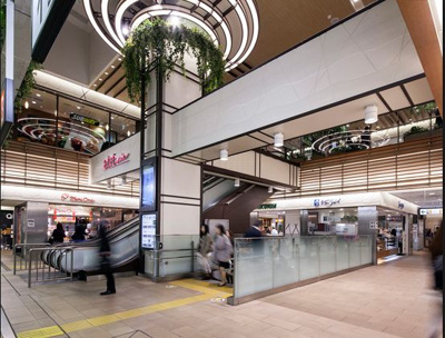 【周辺】 | グリーンポート吉祥寺