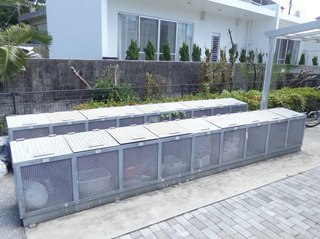  | りん 