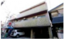 ニューフォレストの画像