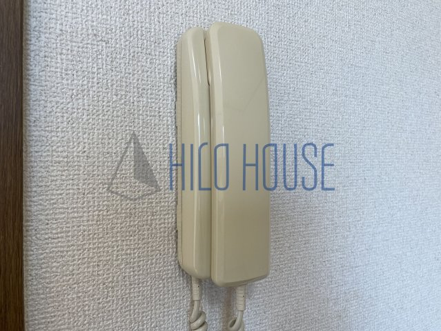 アムール初雁のセキュリティ