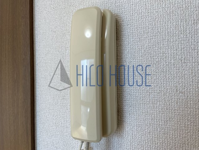 アムール初雁のセキュリティ