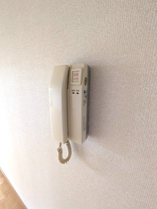 スカイハイムのセキュリティ