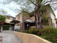 ドゥシャルマンはいづかの画像