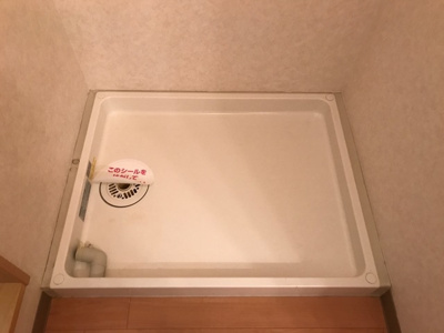 【その他】 | ラフレシア