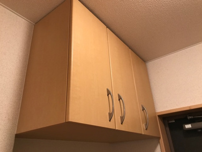 【その他】 | ラフレシア