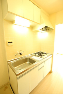２口ガスコンロ付キッチン♪ シンクも大きく料理がはかどりますね♪
