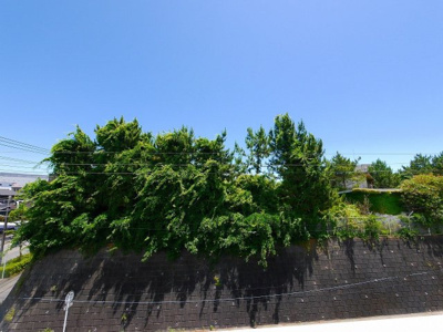 【展望】 | キュービック湘南壱番館