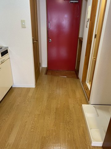 レディースマンションプリンセス|イメージ画像になります