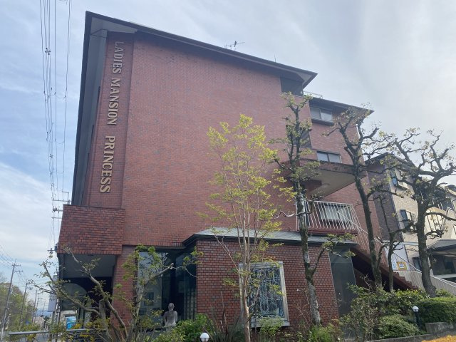 レディースマンションプリンセスの外観