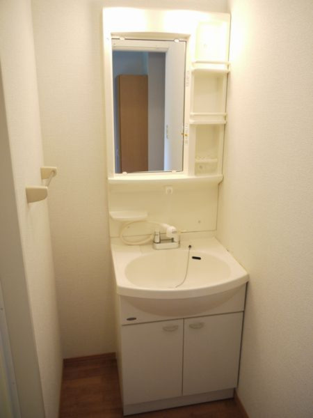 サウス　レグルスの洗面所