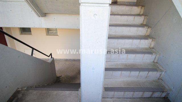 フルータのその他