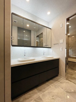 【独立洗面台】 | プレミストタワー白金高輪