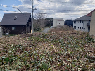 【外観】 | 鳥取市気高町日光土地