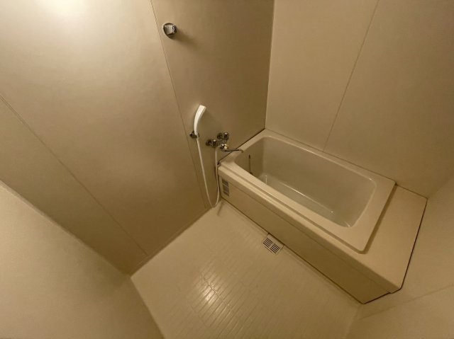 成田市玉造７丁目の賃貸マンションの浴室