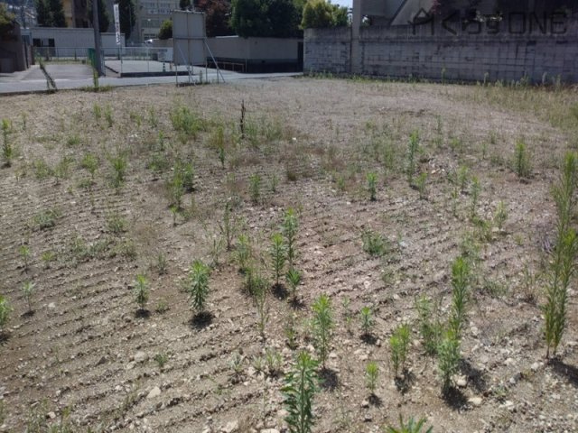 【外観】 | 姫路市田寺2丁目／5区画