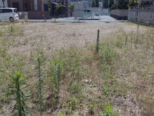 【外観】 | 姫路市田寺2丁目／5区画