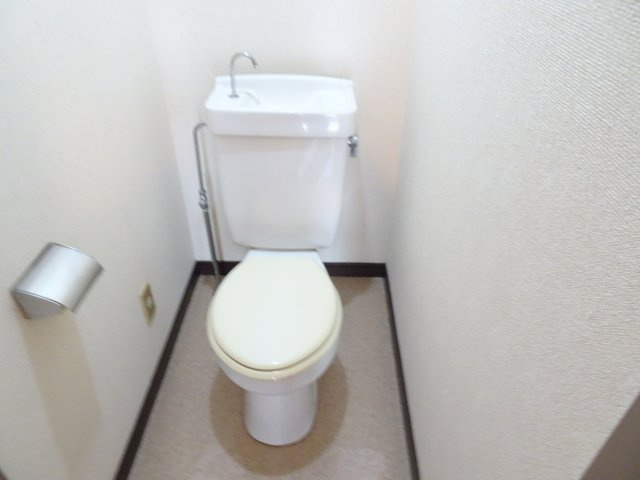 マウンティンやかたⅡのトイレ