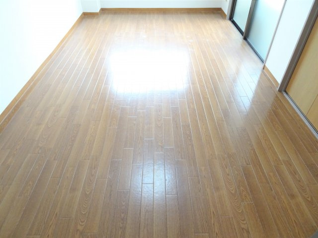 マウンティンやかたⅡの洋室