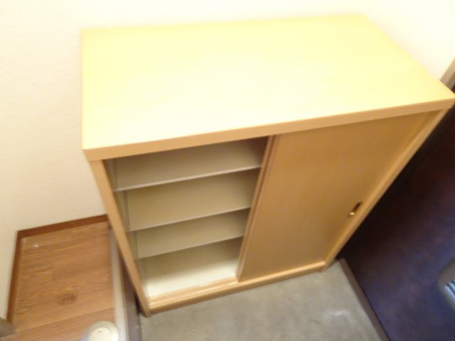 マウンティンやかたⅡの玄関