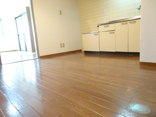 マウンティンやかたⅡの内装