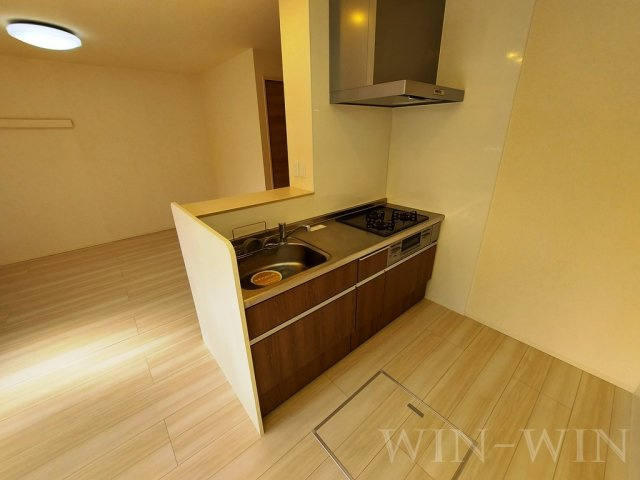 i-village Ⅱのキッチン